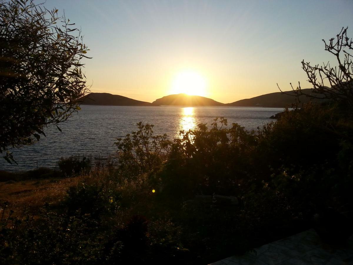 Panormitis Pizanias Houses Skaliá Dış mekan fotoğraf