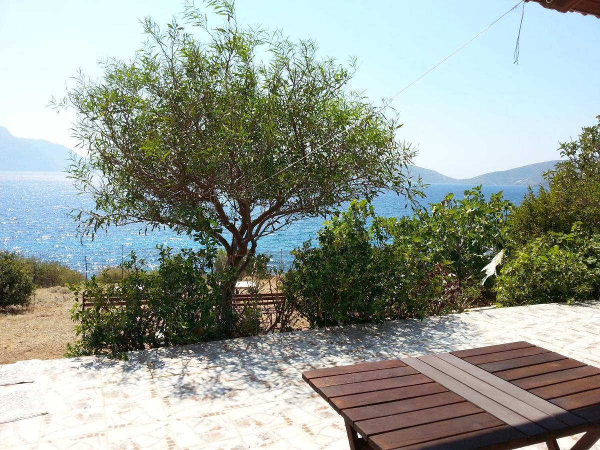 Panormitis Pizanias Houses Skaliá Dış mekan fotoğraf
